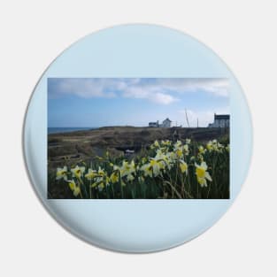 Seaton Sluice Harbour Daffodils Pin