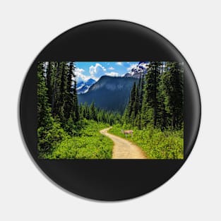 Forest trail Pin