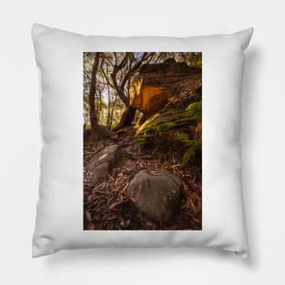 Cave In Bushland Pillow