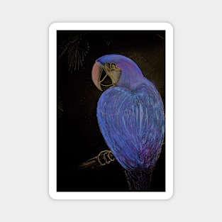 LUSTRE BLUE PURPLE TROPICAL PARROT Magnet