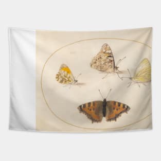 Orange Tip, Painted Lady, Southern Small White, and Small Tortoiseshell Butterflies Tapestry