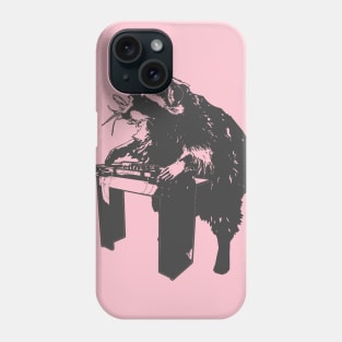 Raccoon Disc Jockey Phone Case