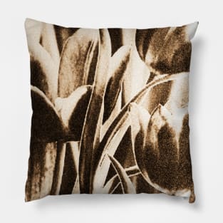 Tulips Pillow