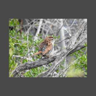 Carolina Wren T-Shirt