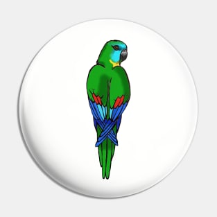 Turquoise Parrot Pin