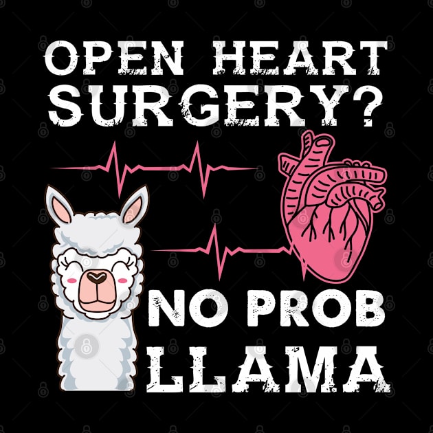 Open Heart Surgery No Prob Llama by Fresan