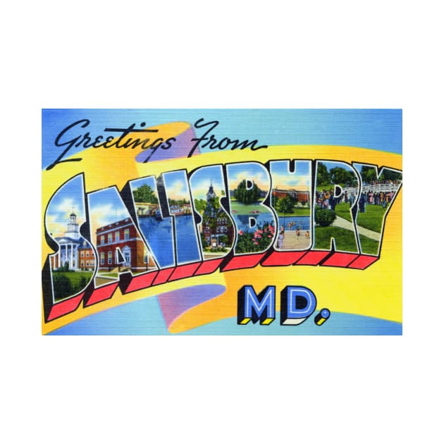 Greetings from Salisbury, Maryland - Vintage Large Letter Postcard by Naves