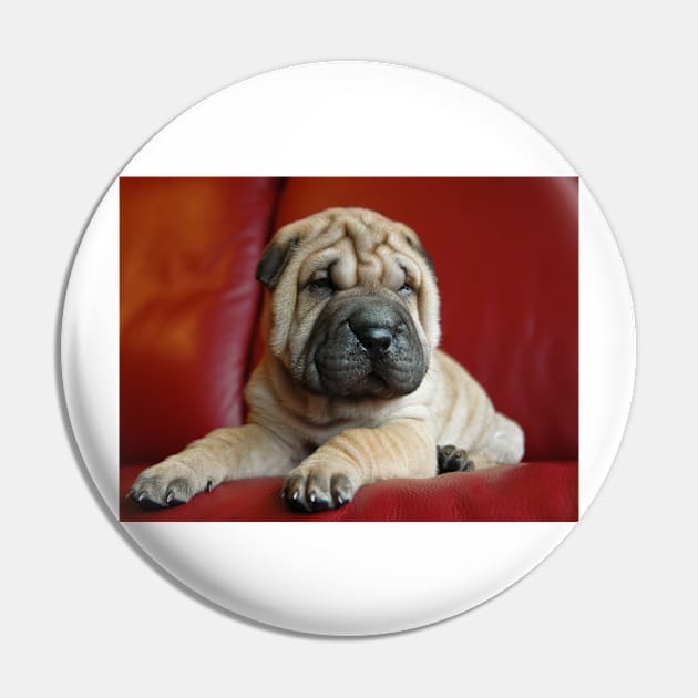 Baby Shar Pei Pin by kawaii_shop