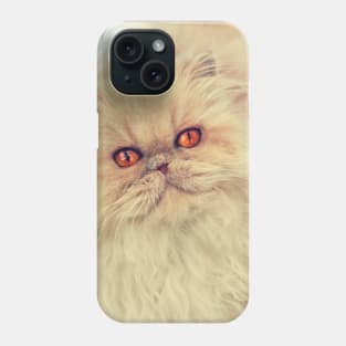 Who are you calling a big ball of fur? Phone Case