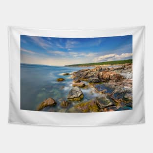 Acadia's Rocky Coast Tapestry