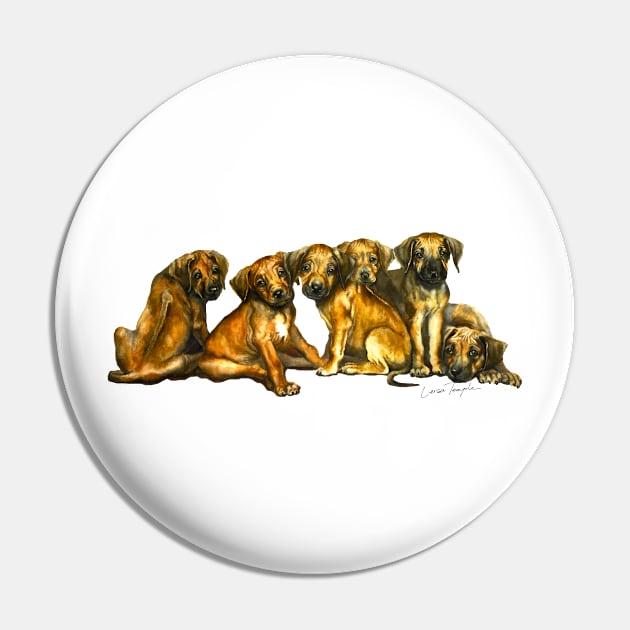 Ridgeback Puppies Pin by Leisa