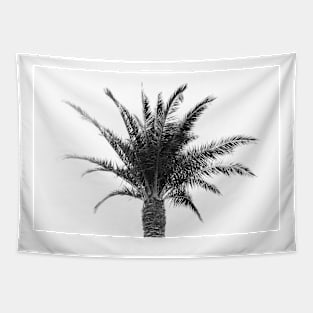 Palm Tree Tapestry