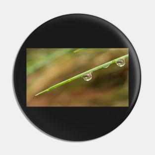 Morning Dew on Grass Pin