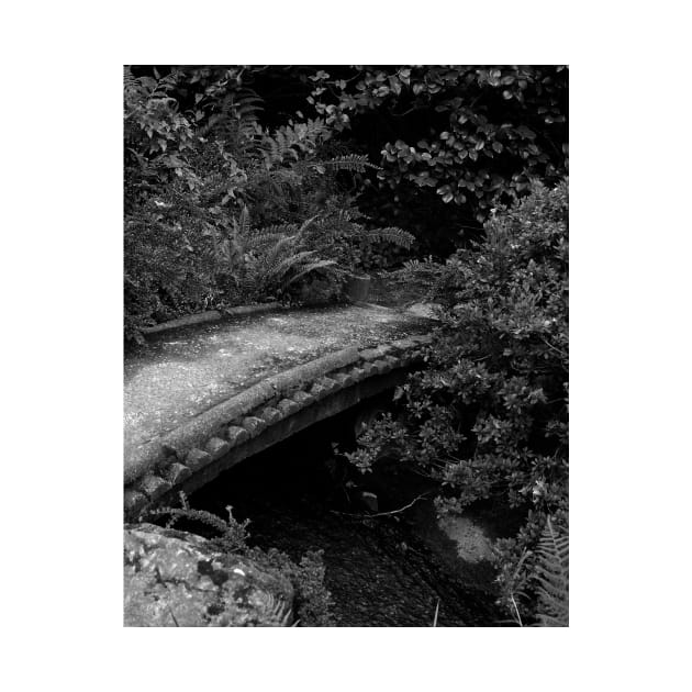 Under the Bridge. Kubota Japanese Gardens, Renton, WA by IgorPozdnyakov