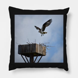 Incoming Osprey Pillow