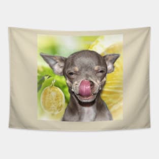 Chihuahua Cheeky Funny Summer Yellow Lemon Chi art Tapestry