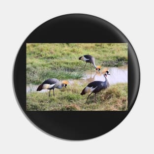 Grey Crowned Crane, Kenya Pin