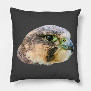 Falcon Portrait Pillow