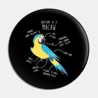 Blue and Gold Macaw Parrot Anatomy Pin