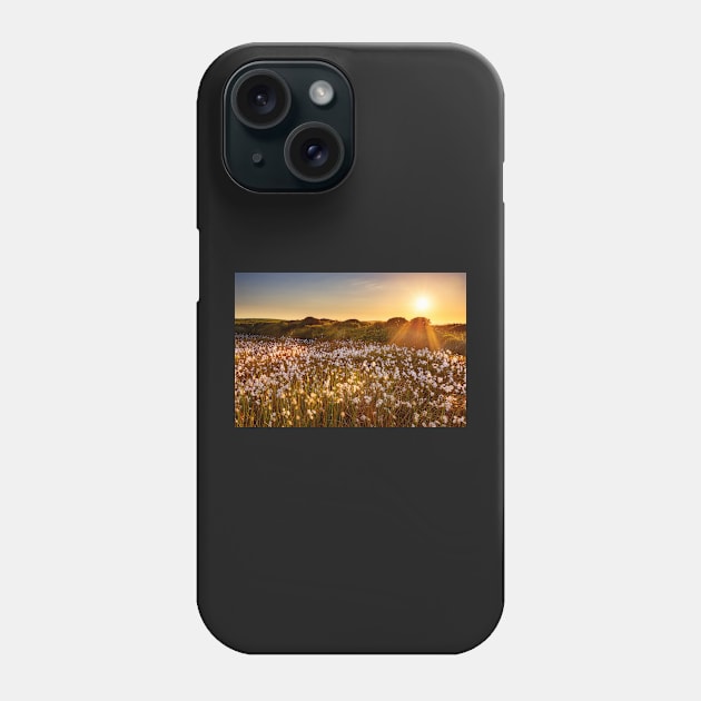 Cotton Grass on Cefn Bryn, Gower Phone Case by dasantillo