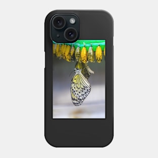 Brand new butterfly Phone Case