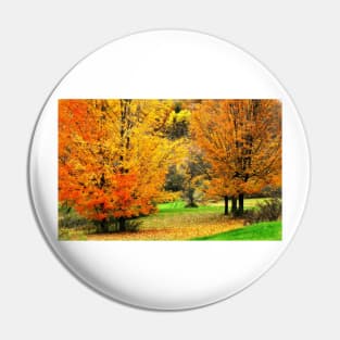 Grassy Autumn Road Pin