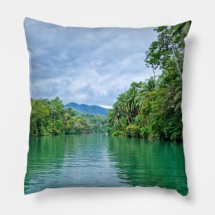 Loboc River, Bohol, Philippines Pillow