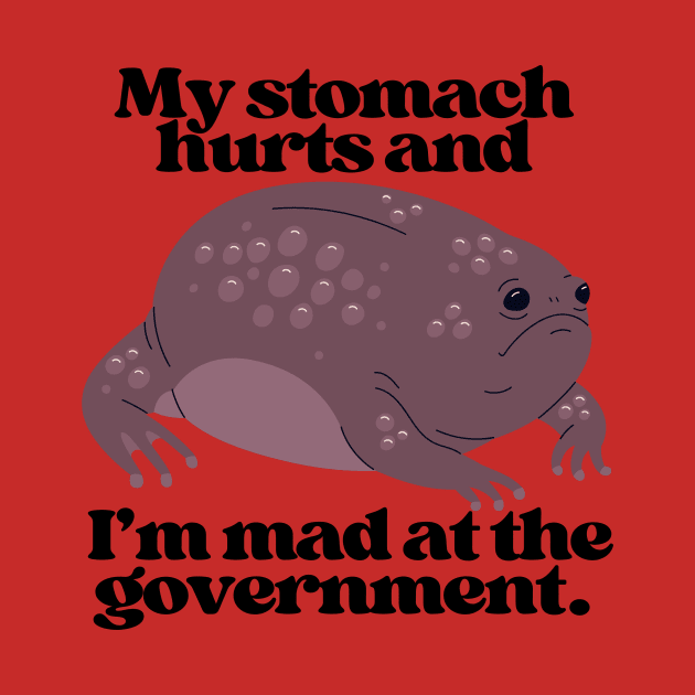 Mad At The Government by capesandrollerskates 