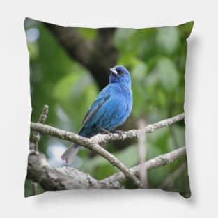 Indigo Bunting Pillow