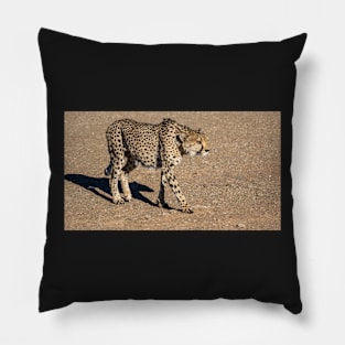 Cheetah walking. Pillow