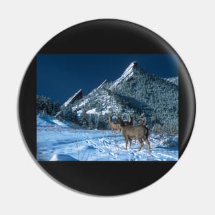 The Flatirons And Deer Pin