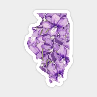 Illinois in Flowers Magnet