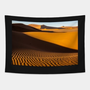 Sossusvlei sand dunes. Tapestry