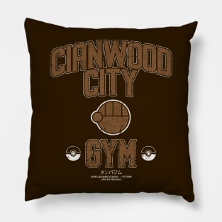 Cianwood City Gym Pillow