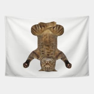 cat yoga Tapestry