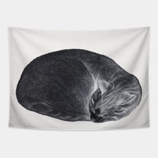 Rolled up lying, sleeping cat inversion Tapestry