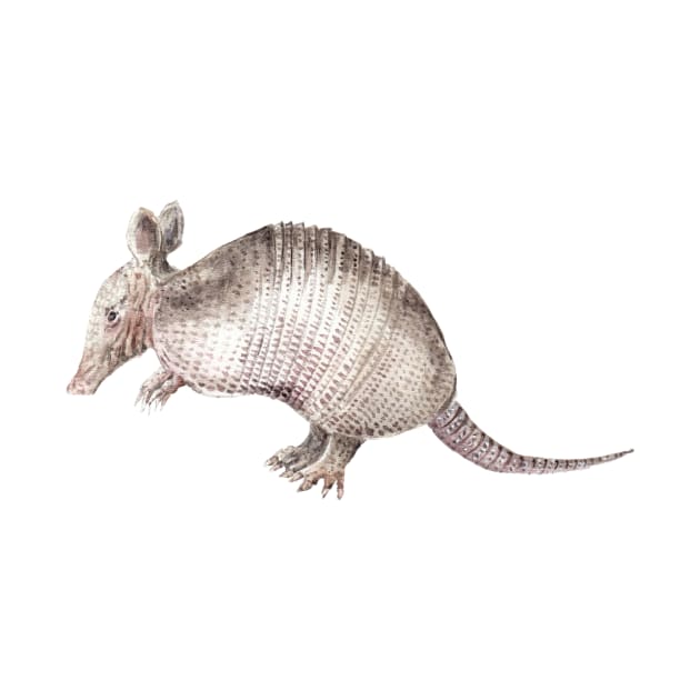 Armadillo Watercolor by wanderinglaur