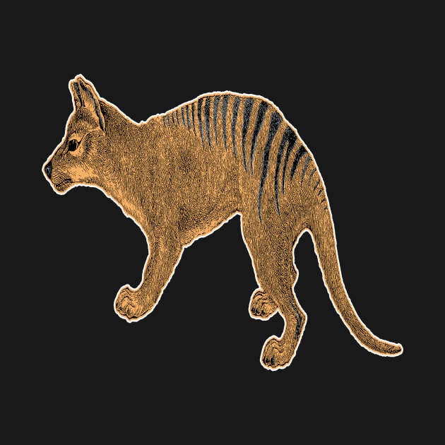 Thylacine or Tasmanian Tiger by encycloart