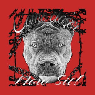 Pittbull T-Shirt