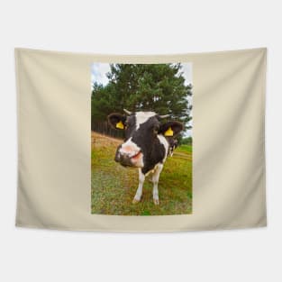 Cow looking at camera Tapestry