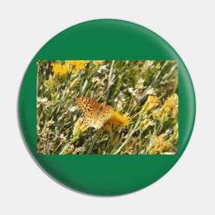 Painted Lady, Butterfly, Nature, Wildlife Pin