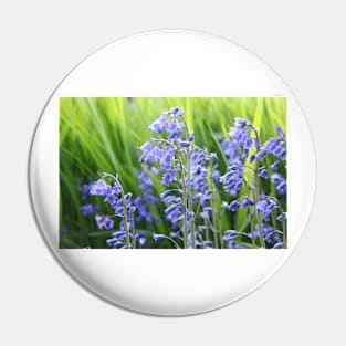 Bluebells Pin