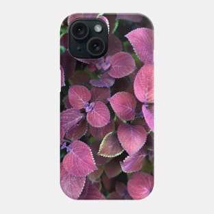 Colored Leaves Phone Case