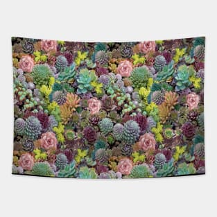 Succulents Pink Tapestry