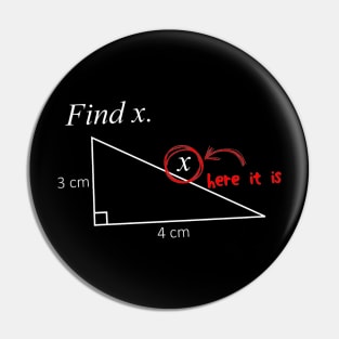 x in the math Pin