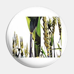 Wheat in the Field Pin