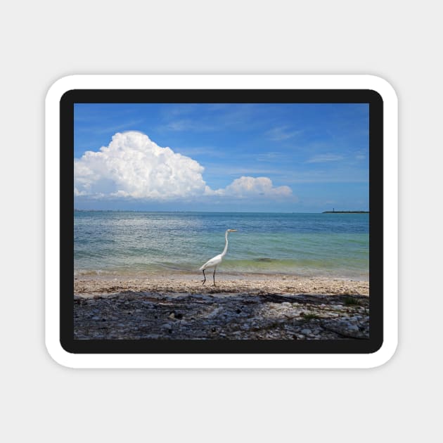 Get out of my way or you'll Egret it. Sanibel Island Egret Fort Myers Florida Magnet by WayneOxfordPh