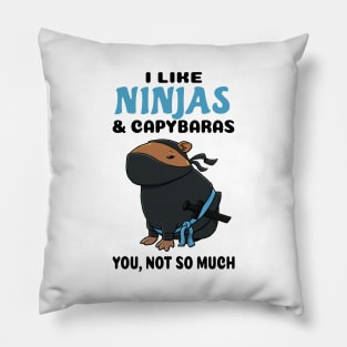 I Like Ninjas and Capybaras you not so much Pillow