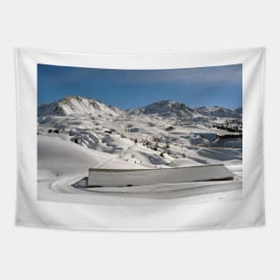 La Plagne Paradiski French Alps France Tapestry