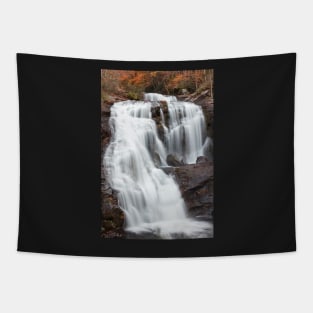 Bald River Falls Tapestry